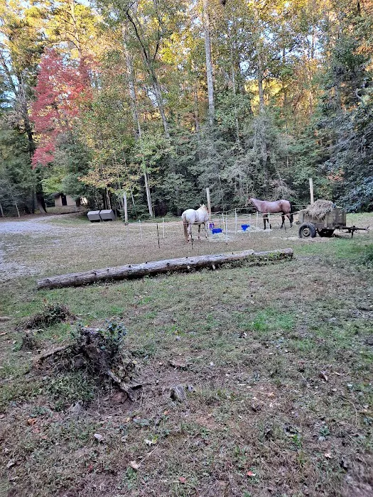 Willis Knob Horse Campground Picture 3