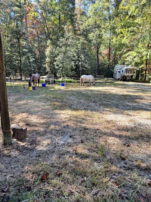 Willis Knob Horse Campground Picture 4