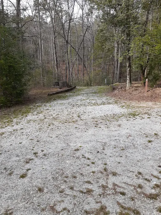 Willis Knob Horse Campground Picture 10