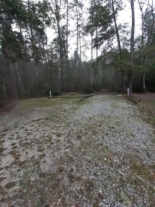 Willis Knob Horse Campground Picture 8