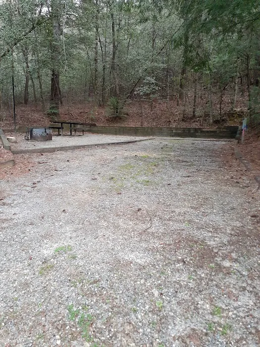 Willis Knob Horse Campground Picture 5