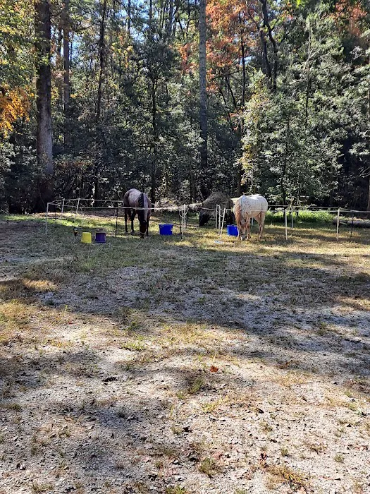 Willis Knob Horse Campground Picture 1