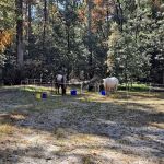 Willis Knob Horse Campground