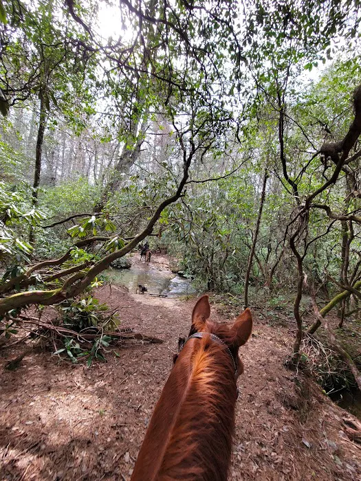 Whetstone Horse Campground Picture 9