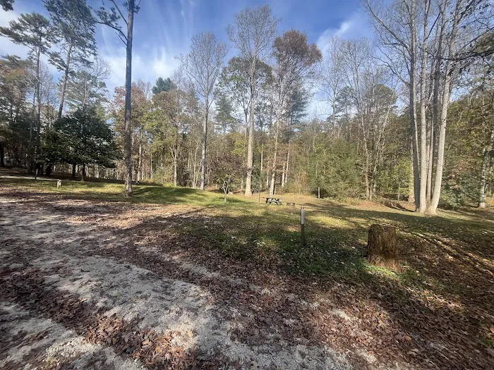 Whetstone Horse Campground Picture 10