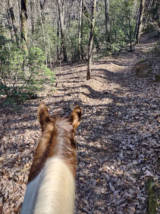 Whetstone Horse Campground Picture 7