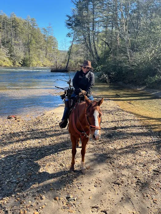 Whetstone Horse Campground Picture 8