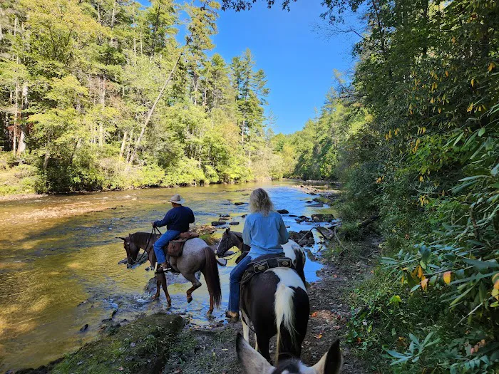 Whetstone Horse Campground Picture 1