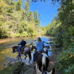 Whetstone Horse Campground