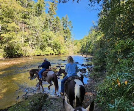 Whetstone Horse Campground