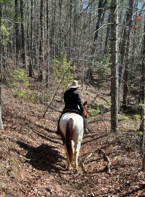 Whetstone Horse Campground Picture 5