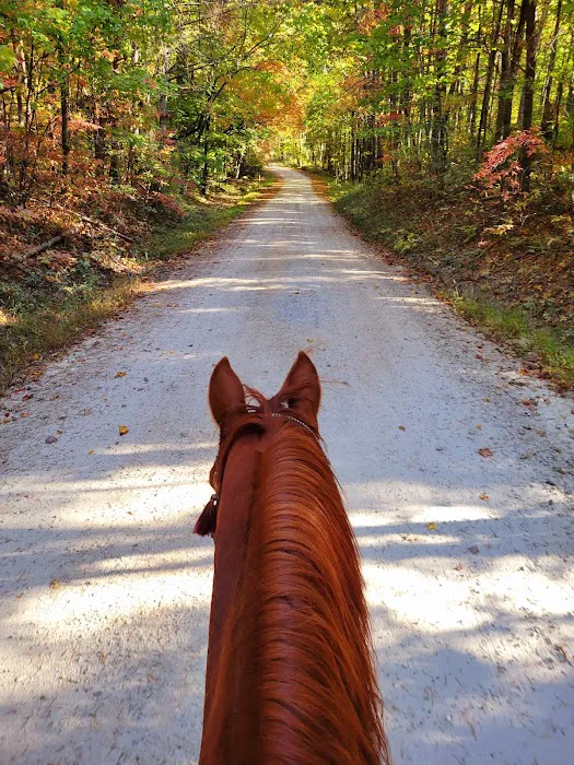 Whetstone Horse Campground Picture 2