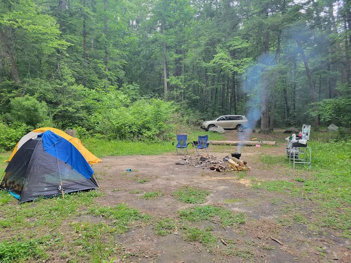 Grapevine Campground Picture 8