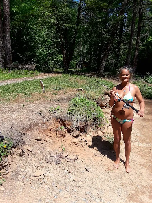 Grapevine Campground Picture 1