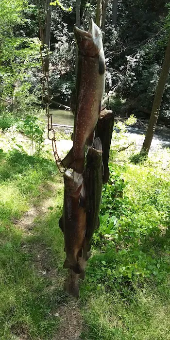 Grapevine Campground Picture 7