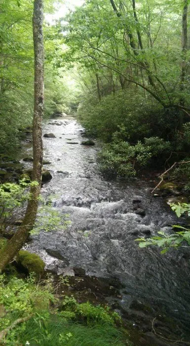 Grapevine Campground Picture 2