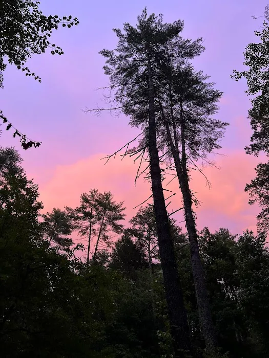 Grapevine Campground Picture 3