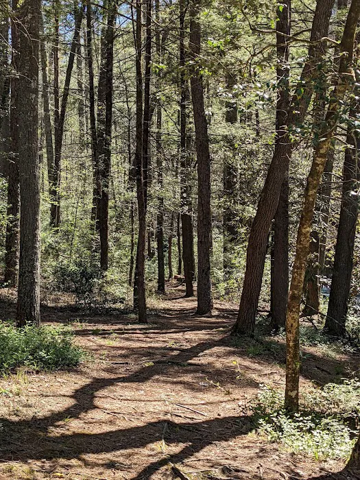 Grapevine Campground Picture 9