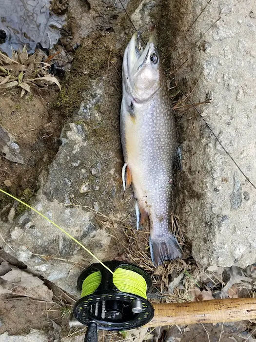 Cassidy Bridge Picture 7