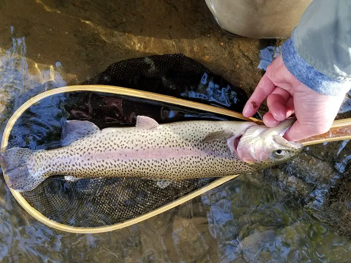 Cassidy Bridge Picture 8