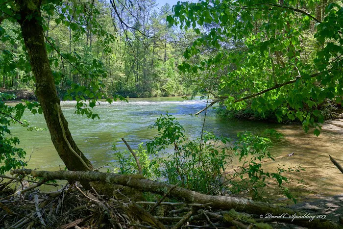 Thrifts Ferry Campground Picture 2