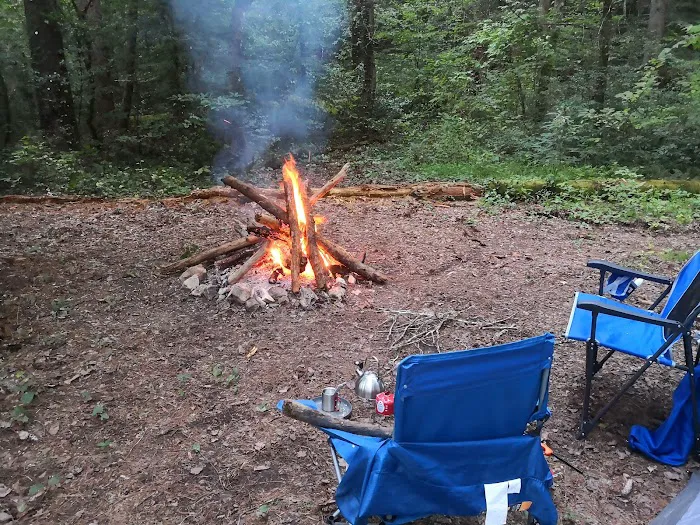 Thrifts Ferry Campground Picture 4