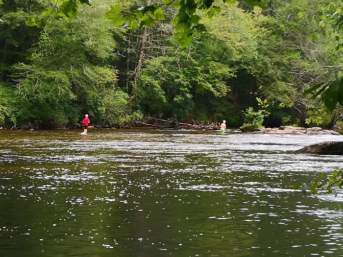 Thrifts Ferry Campground Picture 3