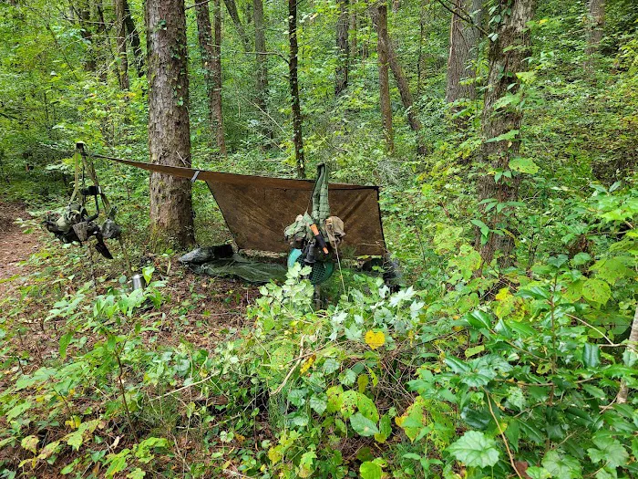 Thrifts Ferry Campground Picture 6