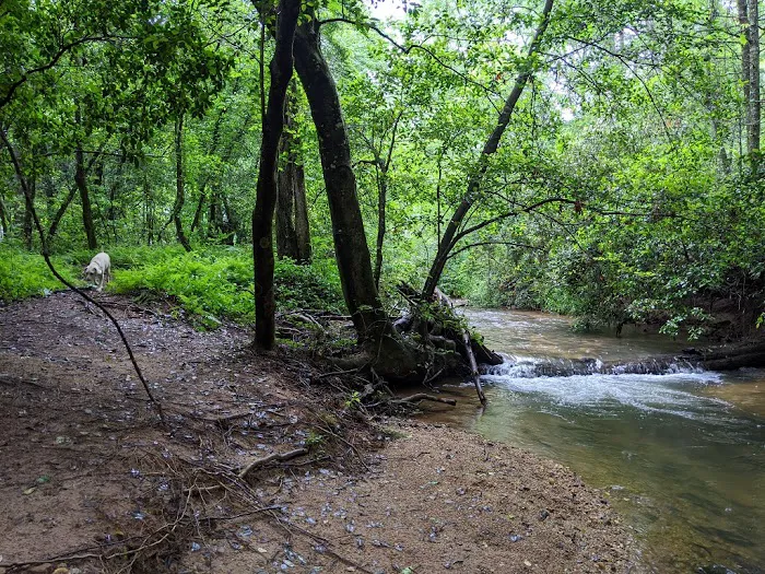 Chattooga River Lodge and Campground Picture 2