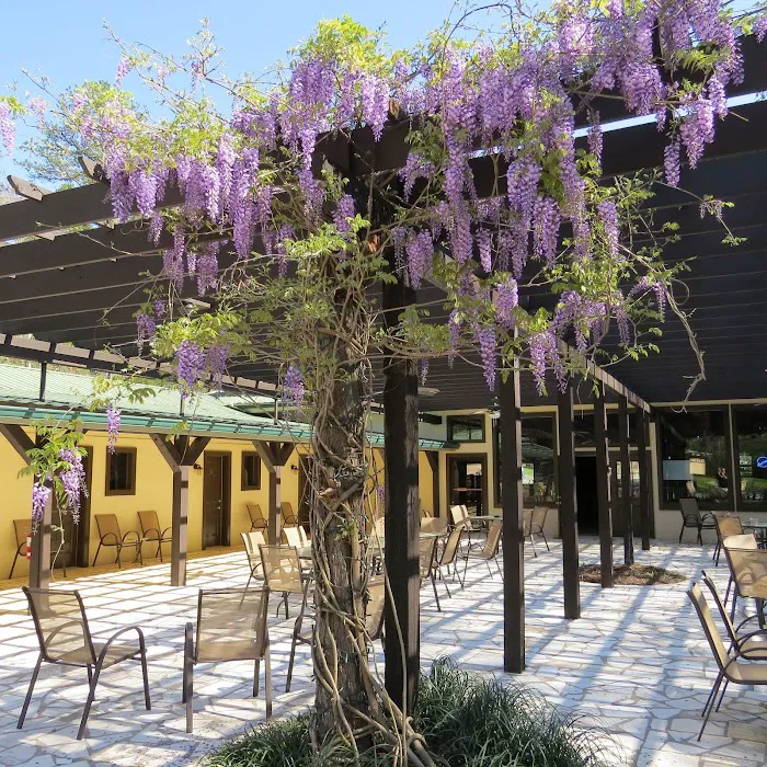 Chattooga River Lodge and Campground Picture 10