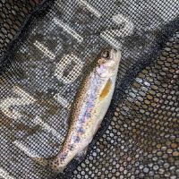 Walnut fork campground ico