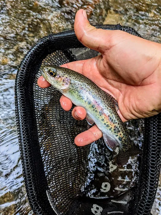 Walnut fork campground Picture 2