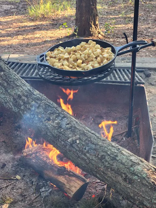 Twin Lakes Campground #33 Seneca SC Picture 10