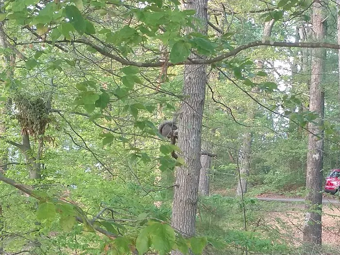 Twin Lakes #44 Picture 9