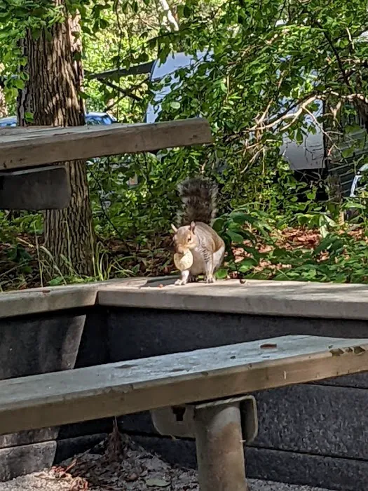 Twin Lakes Picture 7