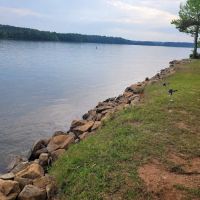 Oconee Point Campground ico