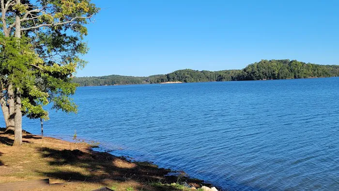 Oconee Point Campground Picture 8