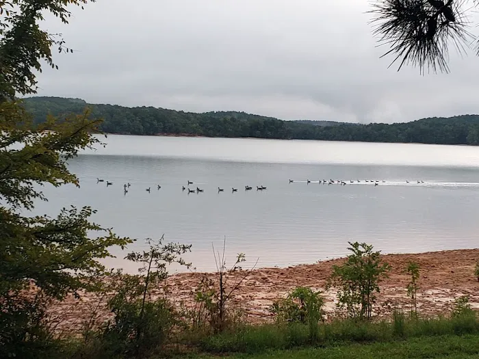 Oconee Point Campground Picture 5