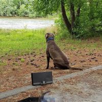 Coneross Campground ico