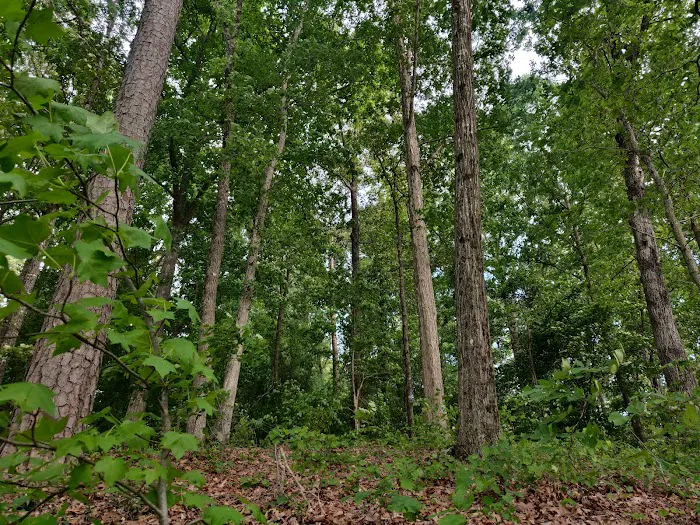 Coneross Campground Picture 10