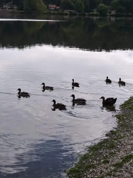 Lake Junaluska Campground Picture 2