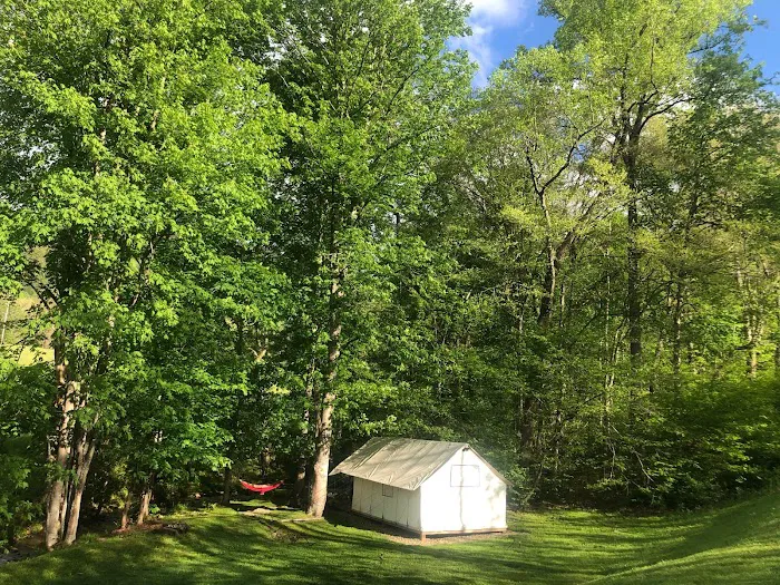Smoky Mountain Glamping - Creekside Tent Picture 10