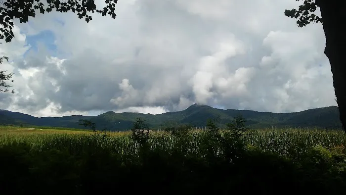 Winngray Campground Picture 7