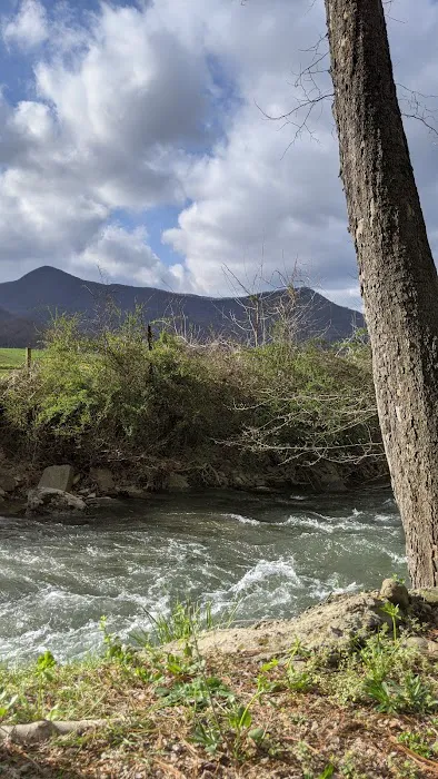 Winngray Campground Picture 2