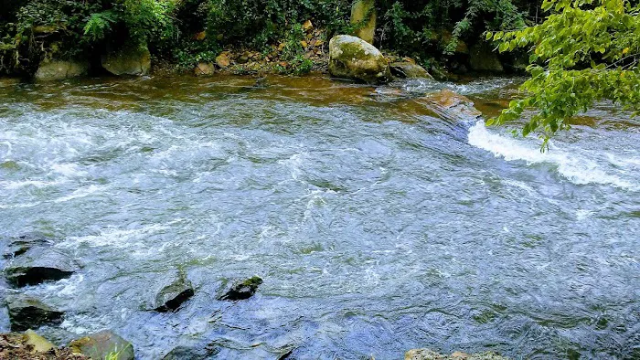 Winngray Campground Picture 6