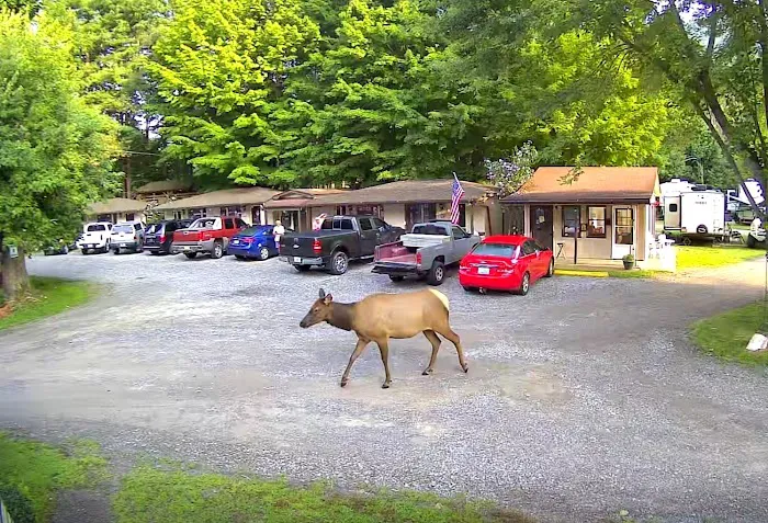 Sweet Dreams Maggie Valley Picture 9