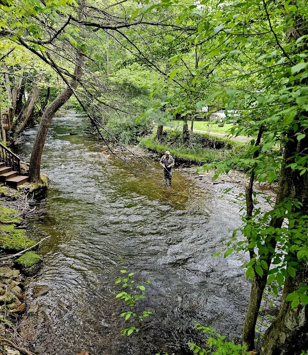 Sweet Dreams Maggie Valley Picture 10