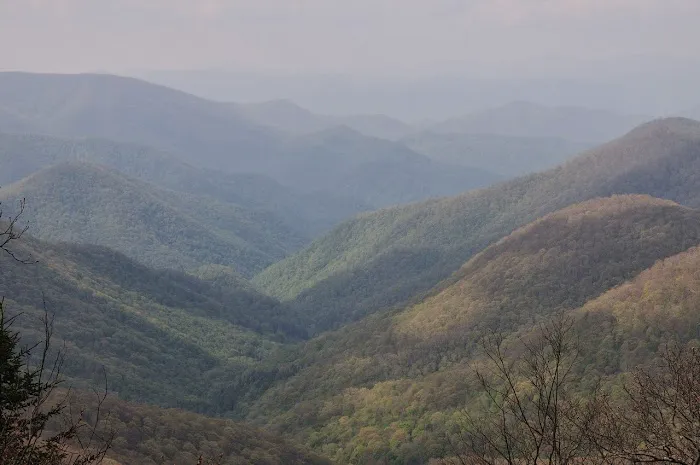 Moonshine Creek Campground Picture 1