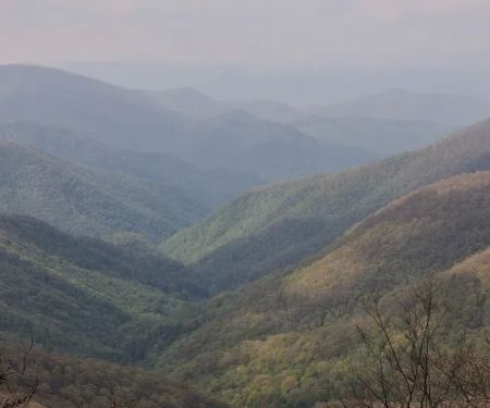 Moonshine Creek Campground