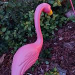 Terry Point Campground